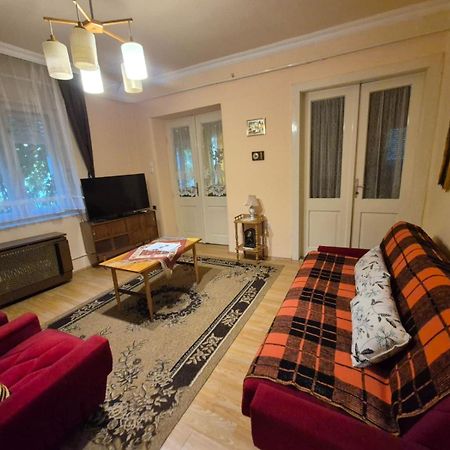 Kereki Retro Vendeghaz Apartment Kerekegyháza Екстериор снимка