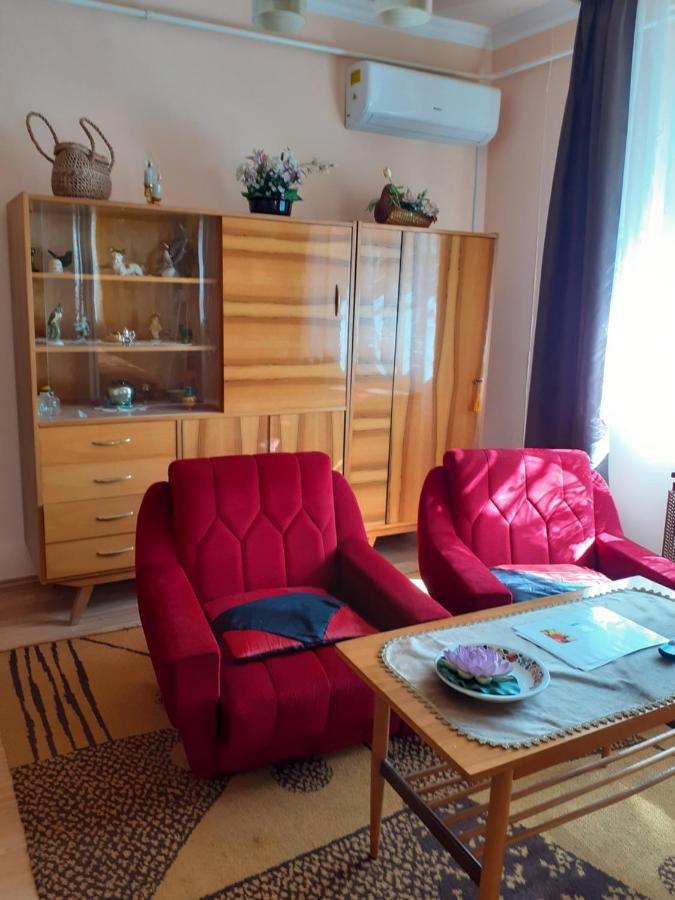 Kereki Retro Vendeghaz Apartment Kerekegyháza Екстериор снимка